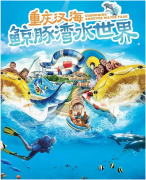 <b>【戴思樂浮潛案例賞析】讓國人在浮潛體驗館中暢享深海之旅！</b>