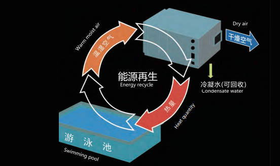 室內(nèi)泳池,室內(nèi)泳池除濕